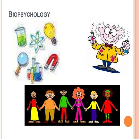 Chapter 2 biopsychology
