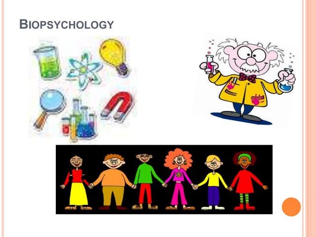 Chapter 2 biopsychology
