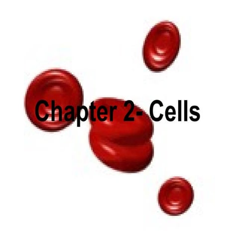 Chapter 2 cells 2011