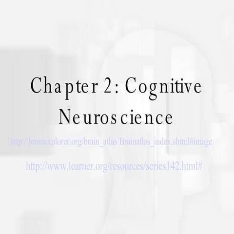 chapter2-Cognitive-Neuroscience