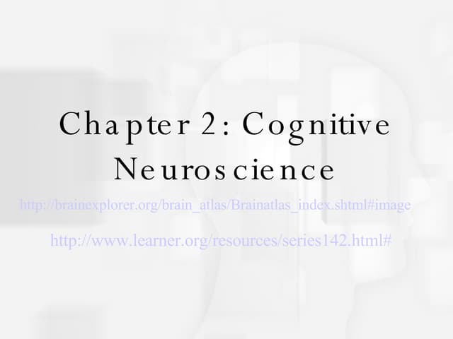 Chapter2 Cognitive Neuroscience Ppt Chapter2 Cognitive Neuroscience Ppt