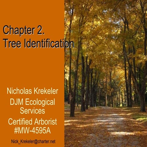 Chapter 2 Identification 09