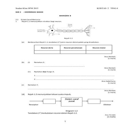 Chapter 2 paper 2.editdocx