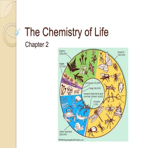 Chapter 2 - Basic Chemistry