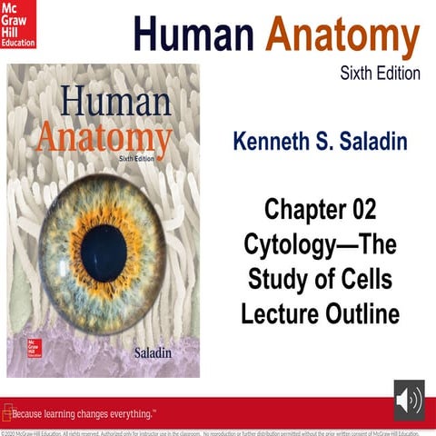 ANATOMY Chapter+2+PPT+with+voiceoers.pptx
