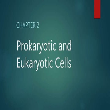 Chapter 2 Prokaryotic and Eukaryotic Cells