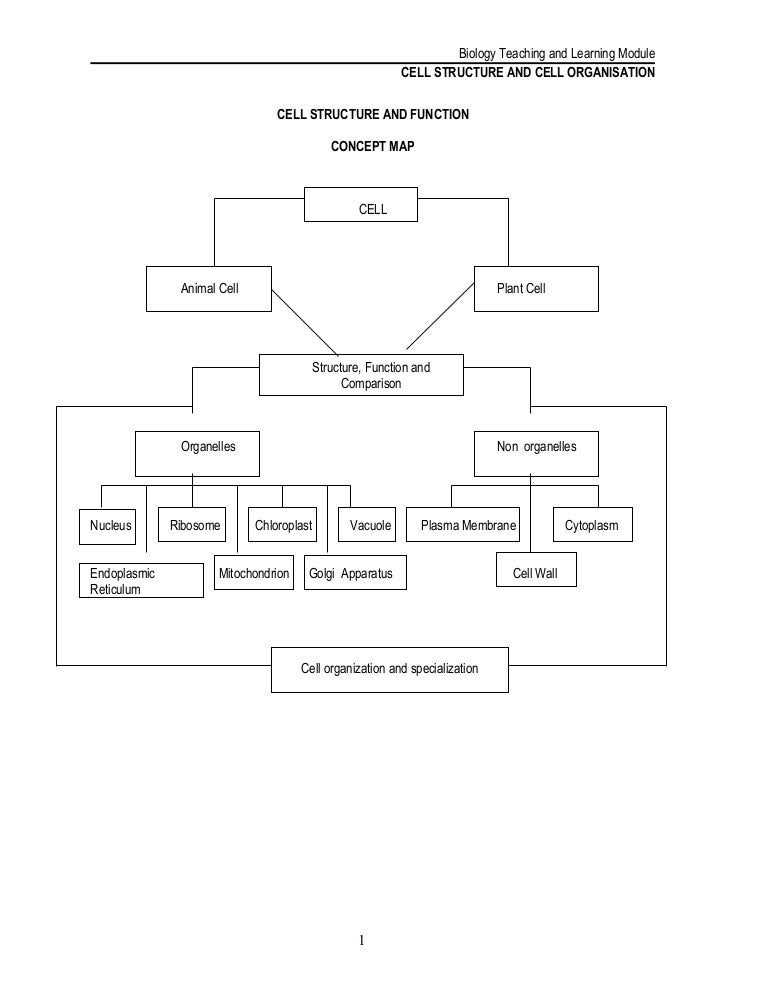 chapter 7 cell structure and function