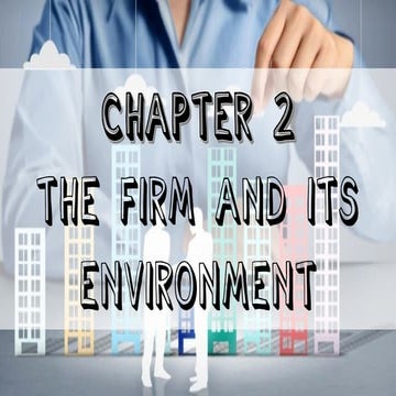 Chapter 2 the firm and its environment