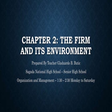Chapter 2 The Firm and Its Environment lesson 1