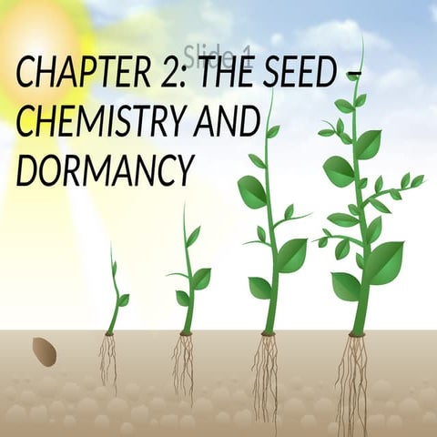 Seed germination - types and phases of germination.pptx
