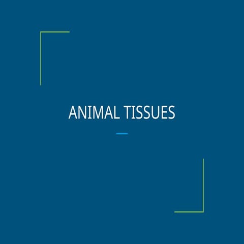 CHAPTER 2 Tissue Tissue Tissue Tissue Tiss | PPTX