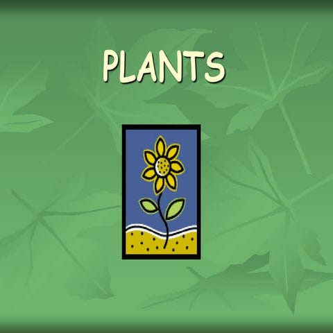 Chapter 2 what do plants need to grow