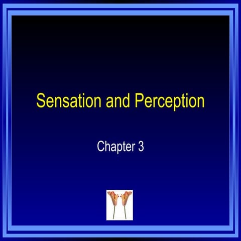 Sensation & Perception