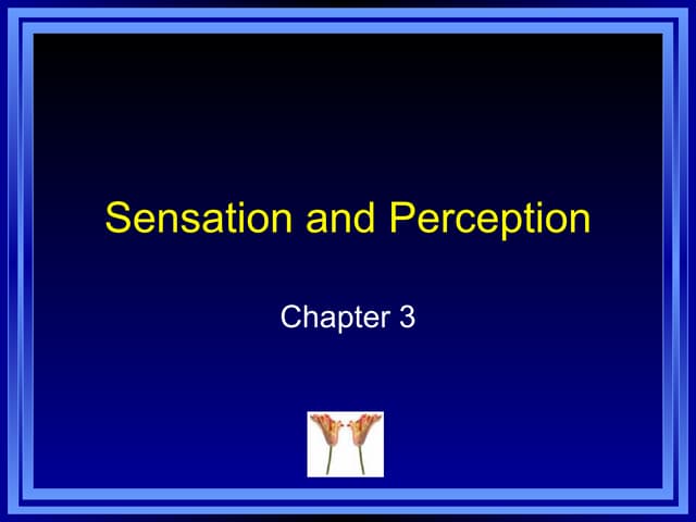 Sensation and Perception | PPSX