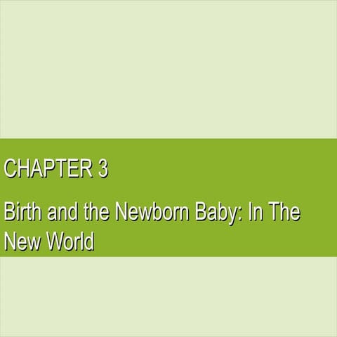 Chapter3 PP HDEV MJC