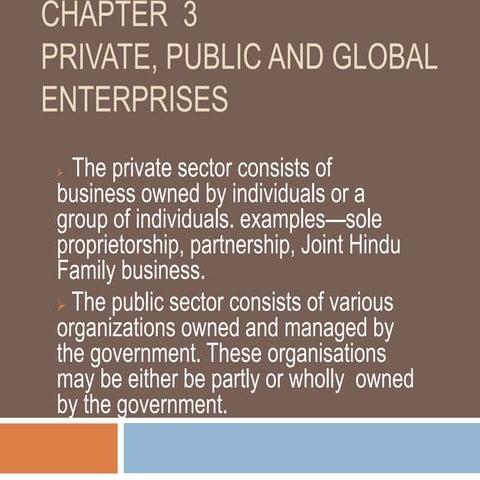 private, public and global enterprises