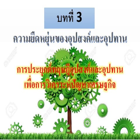 Chapter3 ความยืดหยุ่น