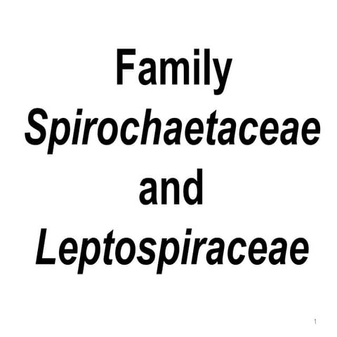 Chapter 3.8. Family Spirochaetaceae and Leptospiraceae (1).ppt