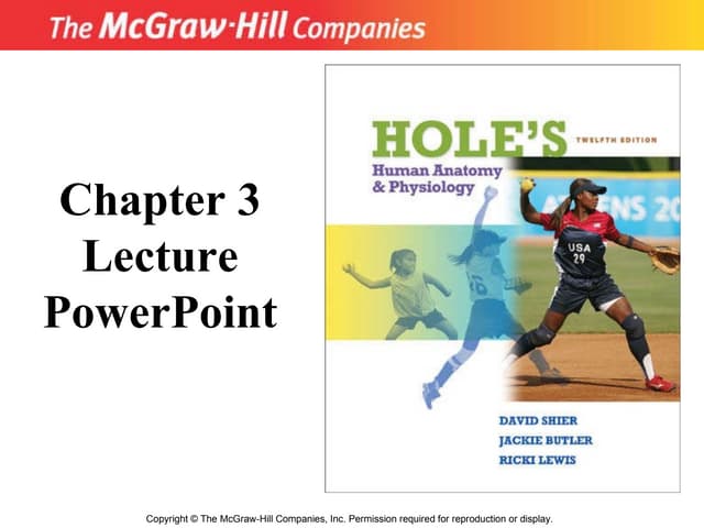 Chapter 3  Cells