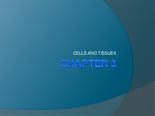 'cells and tissues' on SlideShare