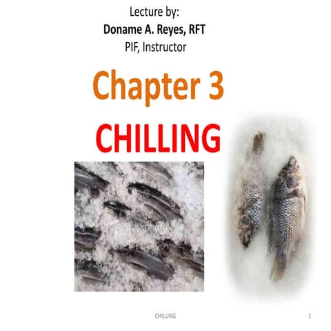 Chilling | PPT
