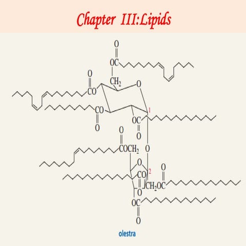 Fats - Structure and Composition | PPTX