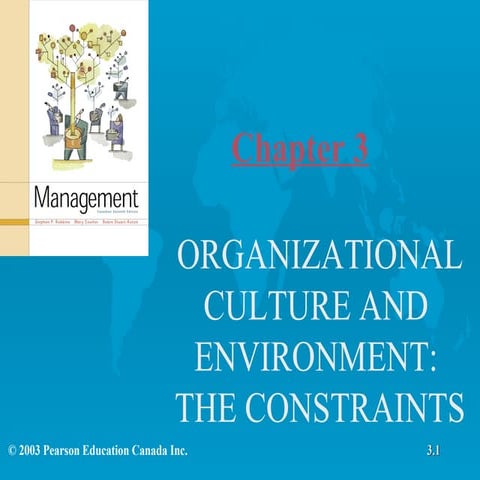 Chapter 3   Organizational Culture And Environment The Constraints
