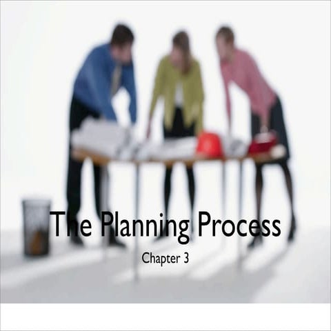 The Planning Process in Sport Facilities (2010)