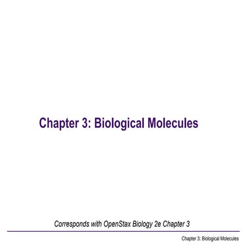 Comprehensive Overview of Biological Molecules and Their Functions in ...