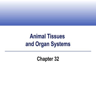 animal tissues