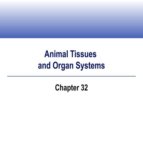 animal tissues
