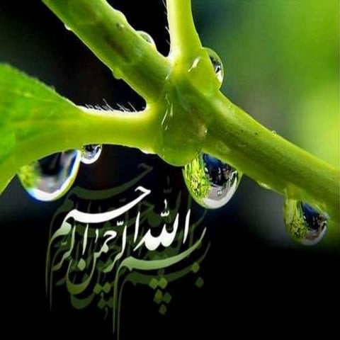 Drugs used in dyslipidemia