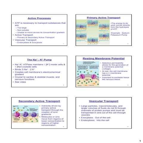 Chapter3b | PDF