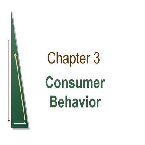 Chapter 3 consumer behavior