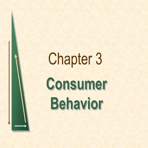 chapter_3 Consumer Behavior Robert Pyndick.pdf