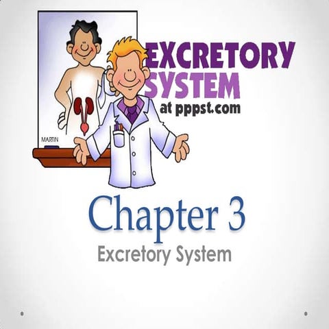 Form 3 PMR Science Chapter 3 Excretory System