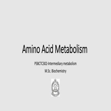 Amino Acid Metabolism | PPTX