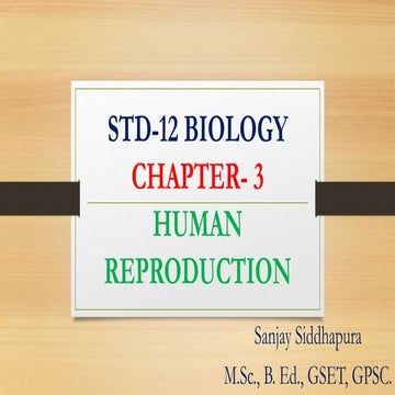 Chapter 3 human reproduction