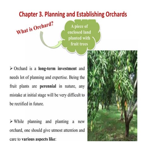 PLANTING SYSTEM OF LAYOUT ORCHARD pptx | PPTX