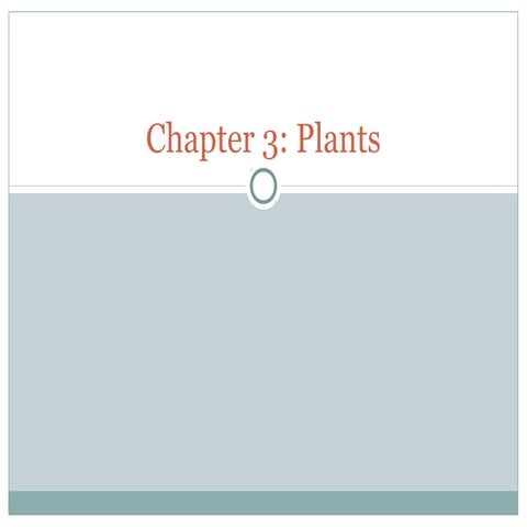 Chapter 3 plants