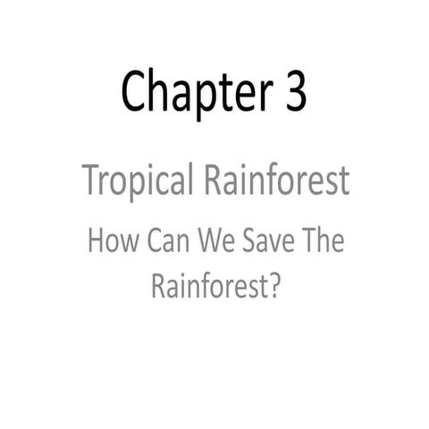 Sec 1 Chapter 3 Tropical Rainforests