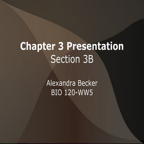 chapter-3-presentation-ppt