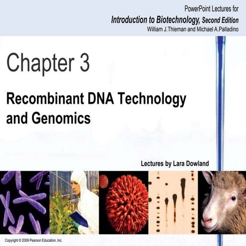 Chapter 3 Recombinat DNA & Genomics.ppt