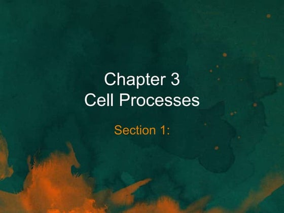 Chapter 6 Section 1: Ideas About Evolution | PPTX