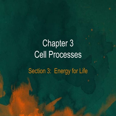 Chapter 3 section 3 notes 