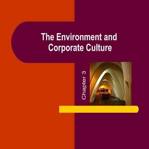 Chapter 3 the environment and corporate culture