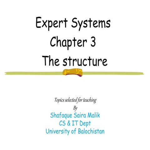chapter 3 the structure.ppt