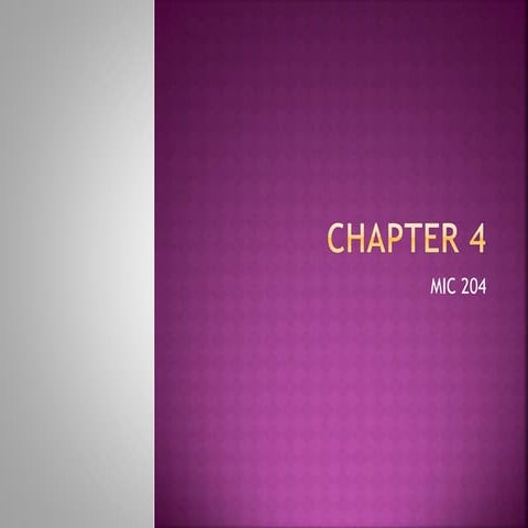 Chapter 4 | PPT