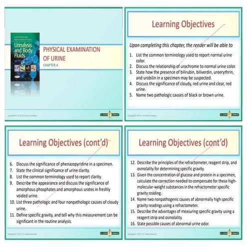 PART 4 EXAMINING PROCESS visual data 3