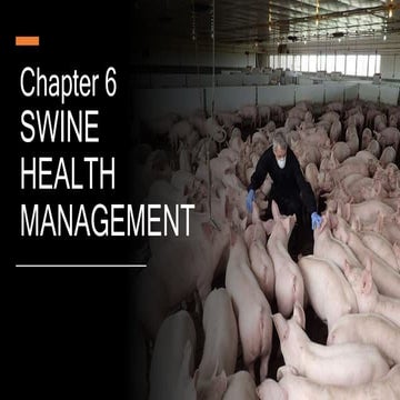 Breeding management - Swine | PPTX
